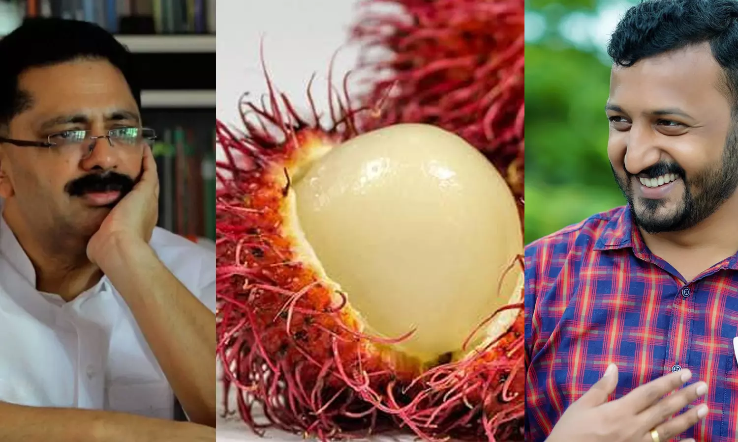 ജലീലിന് റമ്പൂട്ടാന്റെ ഗതി; എല്ലാവരും കൈവിട്ടു, മാർക്കറ്റും ഇല്ല- പരിഹസിച്ച് രാഹുൽ മാങ്കൂട്ടത്തിൽ ജലീലിന് റമ്പൂട്ടാന്റെ ഗതി; എല്ലാവരും കൈവിട്ടു, മാർക്കറ്റും ഇല്ല- പരിഹസിച്ച് രാഹുൽ മാങ്കൂട്ടത്തിൽ