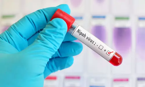 നിപ : ഉറവിടം കണ്ടെത്താനായി കാട്ടുപ്പന്നികളെയും പരിശോധിക്കുന്നു