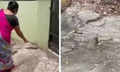 വീട്ടിനകത്തേക്ക് കയറിയ മൂര്ഖന് പാമ്പിനോട് മാന്യമായി ഇറങ്ങിപ്പോകാന് ആവശ്യപ്പെട്ട് വീട്ടമ്മ: വൈറലായി വീഡിയോ വീട്ടിനകത്തേക്ക് കയറിയ മൂര്ഖന് പാമ്പിനോട് മാന്യമായി ഇറങ്ങിപ്പോകാന് ആവശ്യപ്പെട്ട് വീട്ടമ്മ: വൈറലായി വീഡിയോ