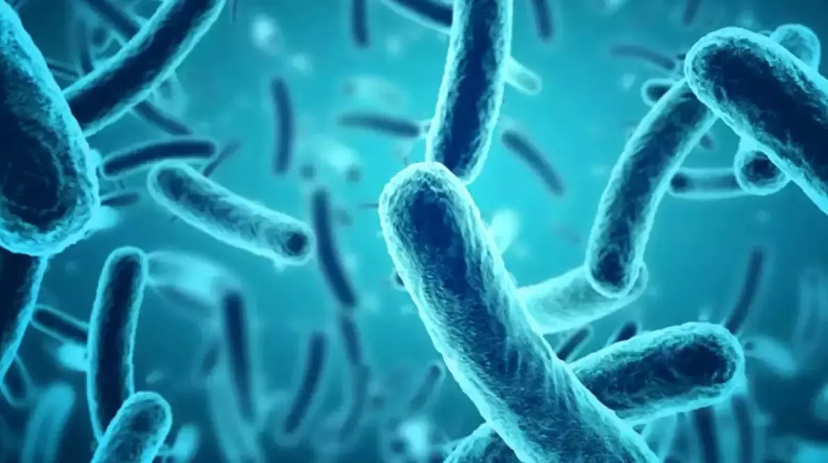 നിപ സമ്പര്ക്കപട്ടികയിലുള്ള അഞ്ചുപേരുടെ ഫലം കൂടി നെഗറ്റീവ് നിപ സമ്പര്ക്കപട്ടികയിലുള്ള അഞ്ചുപേരുടെ ഫലം കൂടി നെഗറ്റീവ്