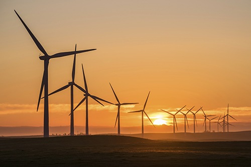 അട്ടപ്പാടി കാറ്റാടി ഭൂമി തട്ടിപ്പ്; വിവിധ വകുപ്പുകളുടെ സംയുക്ത അന്വേഷണം