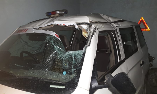 വയനാട് എക്സൈസ് സംഘത്തിനെതിരെ കാട്ടാനയുടെ ആക്രമണം