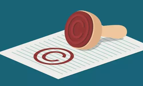 ജന്മദിനാഘോഷ ഉത്പന്നങ്ങളിൽ ഡിസ്‌നി കഥാപാത്രങ്ങൾ; രണ്ടുപേർക്കും കമ്പനിക്കുമെതിരെ കോപ്പിറൈറ്റ് ലംഘനക്കേസ്