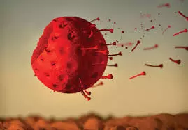 ഒഴിയുന്നു കോവിഡ് ഭീതി; ആശ്വാസ വാർത്തയുമായി ലോകാരോഗ്യ സംഘടന ഒഴിയുന്നു കോവിഡ് ഭീതി; ആശ്വാസ വാർത്തയുമായി ലോകാരോഗ്യ സംഘടന