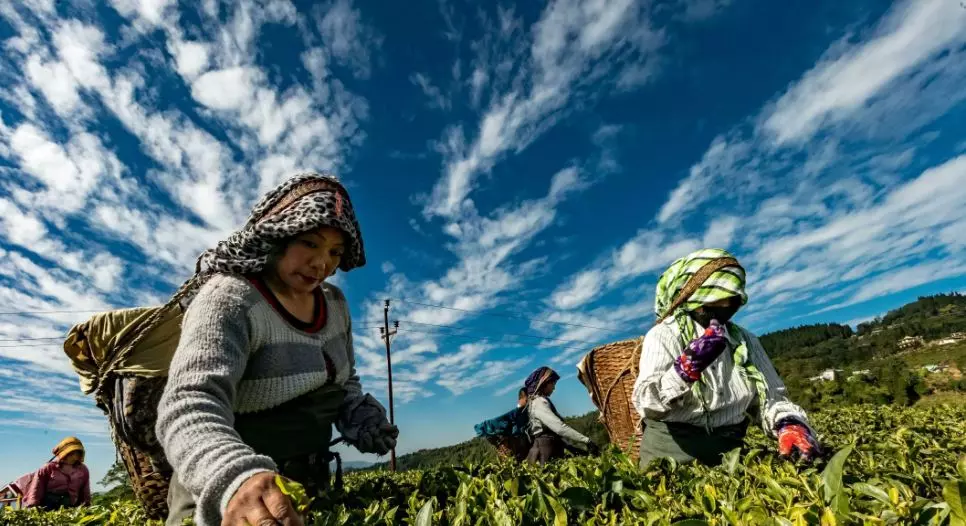 രാജ്യത്തെ ഏറ്റവും സമ്പന്നരായ കര്‍ഷകര്‍ മേഘാലയയിലെന്ന് സര്‍വെ റിപ്പോര്‍ട്ട്