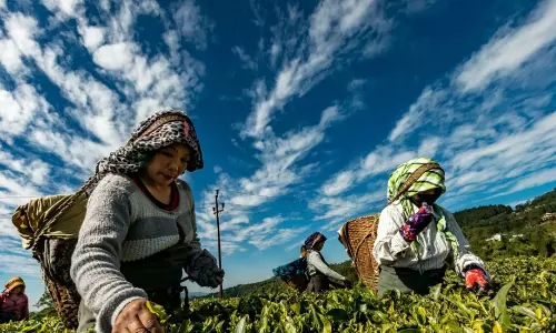 രാജ്യത്തെ ഏറ്റവും സമ്പന്നരായ കര്‍ഷകര്‍ മേഘാലയയിലെന്ന് സര്‍വെ റിപ്പോര്‍ട്ട്