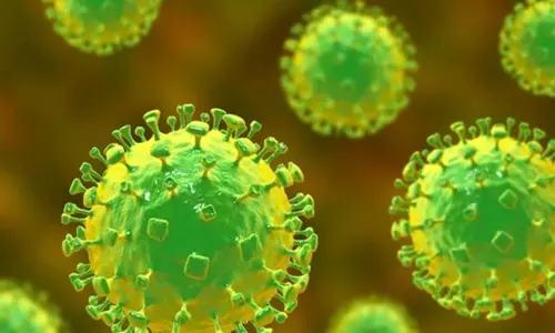 നിപ: ചാത്തമംഗലത്ത് നിന്ന് ശേഖരിച്ച റംബൂട്ടാൻ പഴങ്ങളുടെ ഫലവും നെഗറ്റീവ്