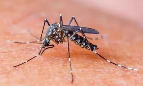 അപകടകാരിയായ ഡെങ്കി വൈറസ് ; കേരളം അടക്കം 11 സംസ്ഥാനങ്ങള്‍ക്ക് മുന്നറിയിപ്പ്