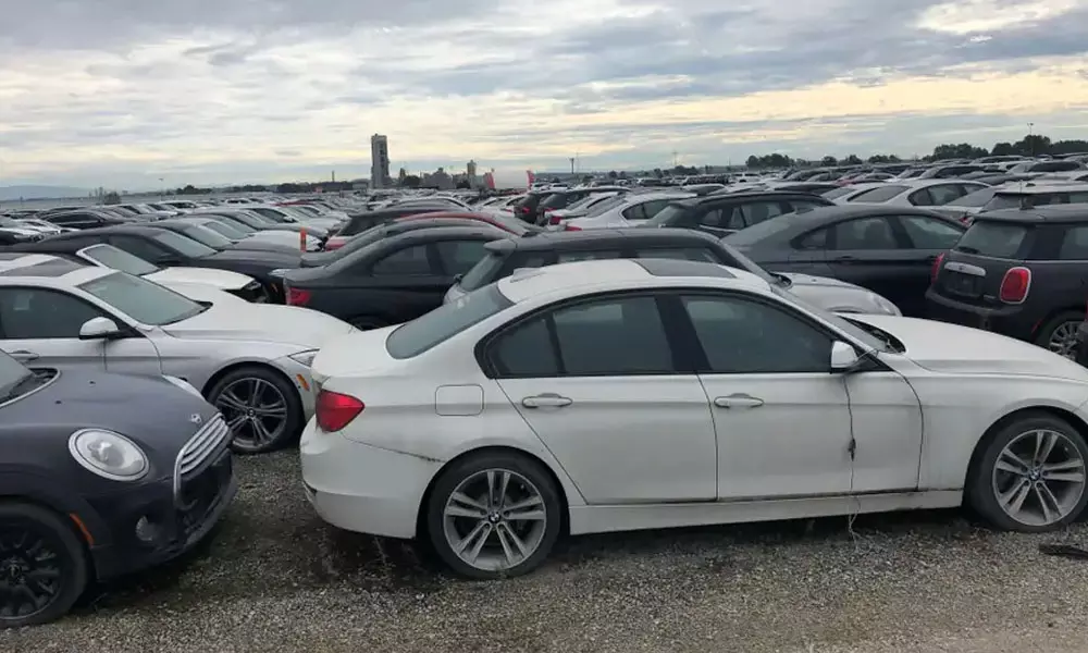 ഇത് ബി.എം.ഡബ്ല്യൂ, മിനി കൂപ്പർ കാറുകളുടെ ശവപ്പറമ്പ്; നാഥനില്ലാതെ മുവ്വായിരം ആഡംബര കാറുകൾ!