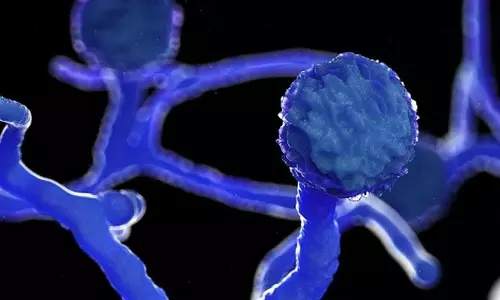 വീണ്ടും ബ്ലാക്ക് ഫംഗസ് മരണം: മരിച്ചത് മലപ്പുറം സ്വദേശി