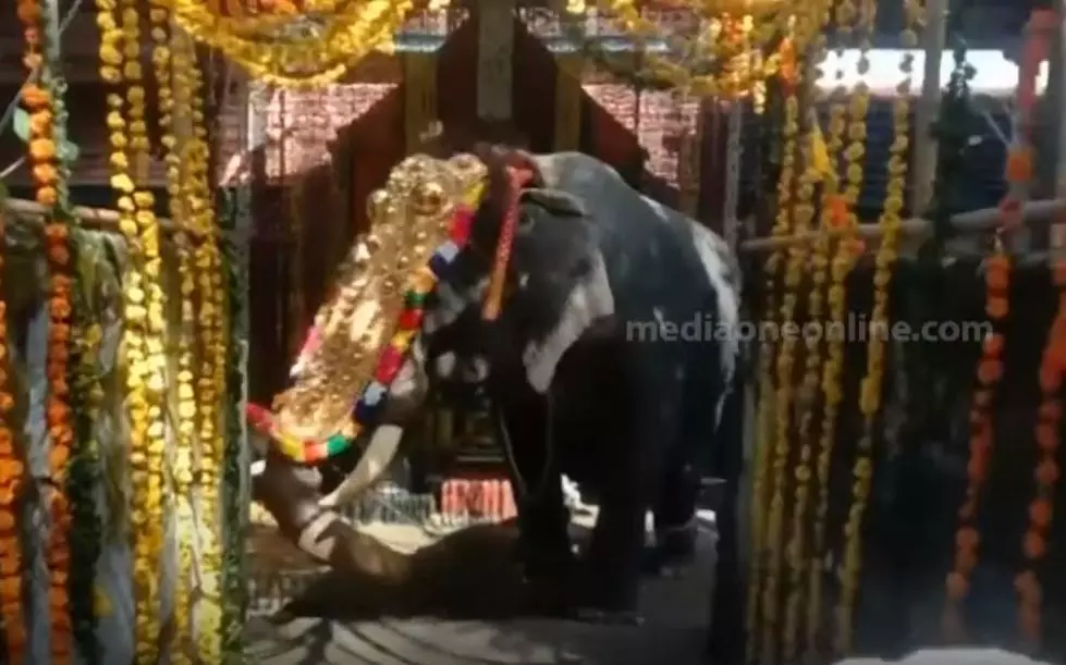 വില്വാദ്രിനാഥ ക്ഷേത്രത്തില് നിറമാല മഹോത്സവത്തിനിടെ ആന ഇടഞ്ഞു; ഒരാള്ക്ക് പരിക്ക് വില്വാദ്രിനാഥ ക്ഷേത്രത്തില് നിറമാല മഹോത്സവത്തിനിടെ ആന ഇടഞ്ഞു; ഒരാള്ക്ക് പരിക്ക്