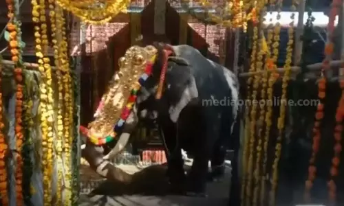 വില്വാദ്രിനാഥ ക്ഷേത്രത്തില്‍ നിറമാല മഹോത്സവത്തിനിടെ ആന ഇടഞ്ഞു; ഒരാള്‍ക്ക് പരിക്ക്