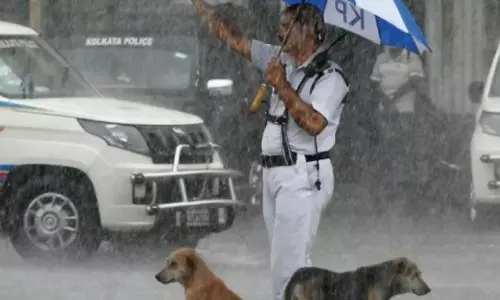 കനത്ത മഴയില്‍ തെരുവുനായ്ക്കള്‍ക്ക് സ്വന്തം കുടക്കീഴില്‍ അഭയമൊരുക്കി ട്രാഫിക് പൊലീസുകാരന്‍