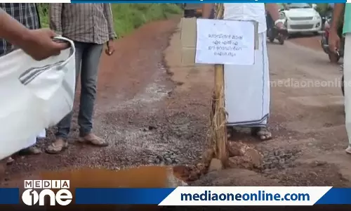 റോഡിലെ കുഴിയില്‍ വാഴ നട്ടു, മന്ത്രി ഗോവിന്ദന്‍ റോഡിന്‍റെ ഐശ്വര്യമെന്ന് ബോര്‍ഡും; വ്യത്യസ്ത പ്രതിഷേധവുമായി യൂത്ത് ലീഗ്