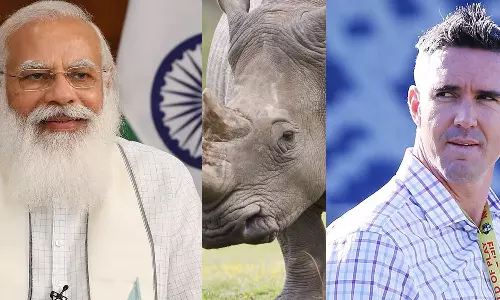 ഇന്ത്യയിലെ കണ്ടാമൃഗങ്ങള്ക്കുവേണ്ടി നിലകൊണ്ടതിന് നന്ദി; മോദിക്ക് പ്രശംസയുമായി കെവിന് പീറ്റേഴ്സണ് ഇന്ത്യയിലെ കണ്ടാമൃഗങ്ങള്ക്കുവേണ്ടി നിലകൊണ്ടതിന് നന്ദി; മോദിക്ക് പ്രശംസയുമായി കെവിന് പീറ്റേഴ്സണ്