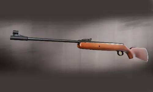 അട്ടപ്പാടിയില്‍ പശുക്കളെ മേയ്ക്കാനെത്തിയവര്‍ക്ക് നേരെ എയര്‍ഗണ്‍ ഉപയോഗിച്ചു വെടിയുതിര്‍ത്തു