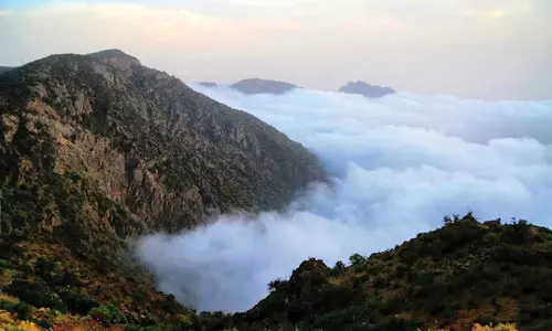 അസീര്‍ പ്രവിശ്യയെ അന്താരാഷ്ട്ര ടൂറിസം കേന്ദ്രമാക്കുന്ന പദ്ധതി പ്രഖ്യാപിച്ചു