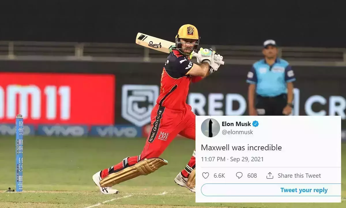 മുംബൈക്ക് അംബാനിയുണ്ടെങ്കില്‍ ഞങ്ങള്‍ക്ക് ഇലോണ്‍ മസ്ക്കുണ്ടെടാ..! ആര്‍.സി.ബി ആരാധകരുടെ ഈ വാദത്തിന് പിന്നിലെന്ത്?