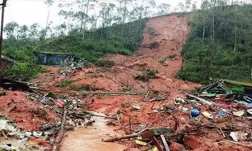 വീട് ഭൂമിക്കടിയിലേക്ക് വീഴും, മരം നട്ടേ തീരൂ; സോയിൽ പൈപ്പിങ് ചില്ലറക്കാരനല്ല: ശാസ്ത്രജ്ഞർ പറയുന്നതിങ്ങനെ