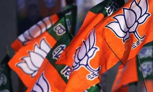 വയനാട് ബിജെപിയിൽ കൂട്ടരാജി; പുതിയ ജില്ലാ പ്രസിഡന്‍റിനെ ഏകപക്ഷീയമായി തീരുമാനിച്ചെന്ന് ആരോപണം