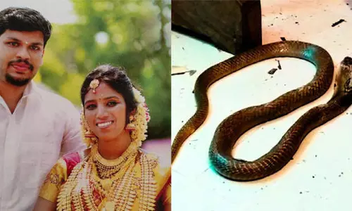 വിചിത്രം, പൈശാചികം, ദാരുണം; ഉത്ര കൊലക്കേസില് സൂരജിന് വധശിക്ഷ നല്കണമെന്ന് പ്രോസിക്യൂഷൻ വിചിത്രം, പൈശാചികം, ദാരുണം; ഉത്ര കൊലക്കേസില് സൂരജിന് വധശിക്ഷ നല്കണമെന്ന് പ്രോസിക്യൂഷൻ