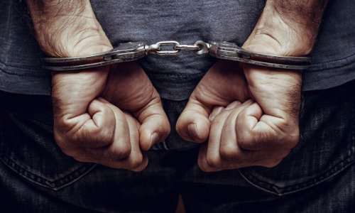 തിരുവനന്തപുരം വിതുരയില്‍ ചന്ദന വേട്ട; രണ്ടു പേര്‍ കസ്റ്റഡിയില്‍