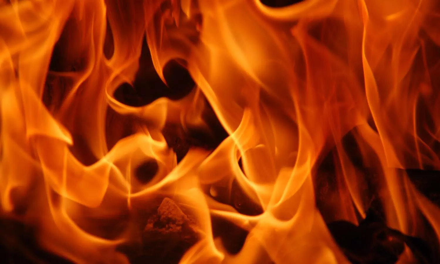 തൃപ്പുണിത്തുറയില് ഫര്ണിച്ചര് കടയക്ക് തീപിടിച്ചു; ഒരു മരണം. തൃപ്പുണിത്തുറയില് ഫര്ണിച്ചര് കടയക്ക് തീപിടിച്ചു; ഒരു മരണം.