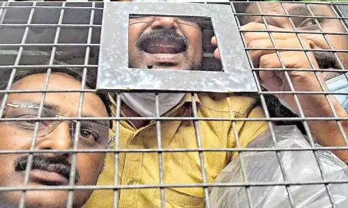 മുട്ടിൽ മരംമുറി; വനംവകുപ്പ് രജിസ്റ്റർ ചെയ്ത കേസിലും പ്രതികൾക്ക് ജാമ്യം