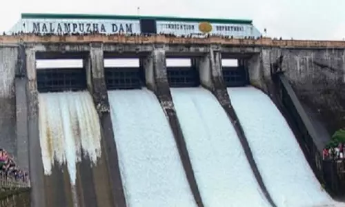 കനത്ത മഴ; മലമ്പുഴ ഡാം തുറന്നു കനത്ത മഴ; മലമ്പുഴ ഡാം തുറന്നു
