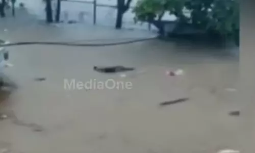 കോട്ടയത്ത് ഉരുൾപൊട്ടലിൽ കാണാതായ മൂന്നുപേരുടെ മൃതദേഹം കണ്ടെത്തി