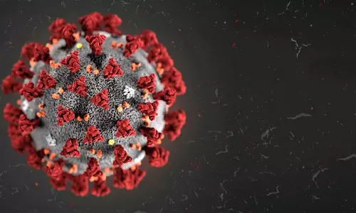 സംസ്ഥാനത്ത് ഇന്ന് 7955 പേർക്ക് കോവിഡ് സ്ഥിരീകരിച്ചു