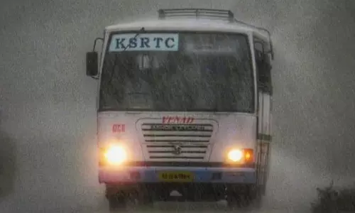 കോഴിക്കോട്ട് കെഎസ്ആർടിസി ബസിന് മുകളിൽ തെങ്ങ് വീണു