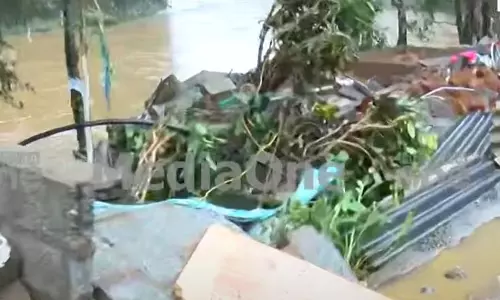 മഴക്കെടുതി: മരിച്ചവരുടെ കുടുംബങ്ങൾക്ക് നാല് ലക്ഷം ധനസഹായം പ്രഖ്യാപിച്ചു