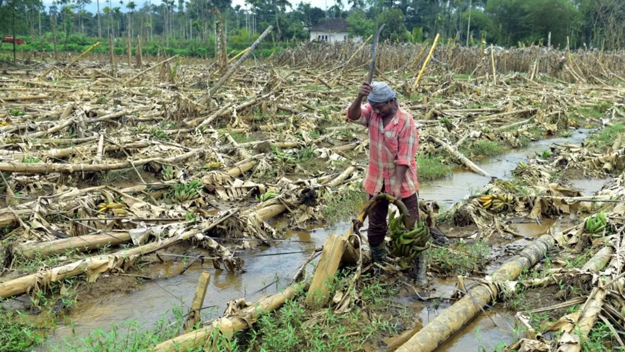 മഴക്കെടുതി; സംസ്ഥാനത്ത് 200 കോടിയുടെ കർഷിക നഷ്ടം
