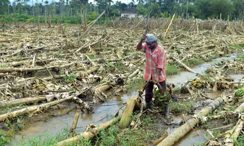 മഴക്കെടുതി; സംസ്ഥാനത്ത് 200 കോടിയുടെ കർഷിക നഷ്ടം