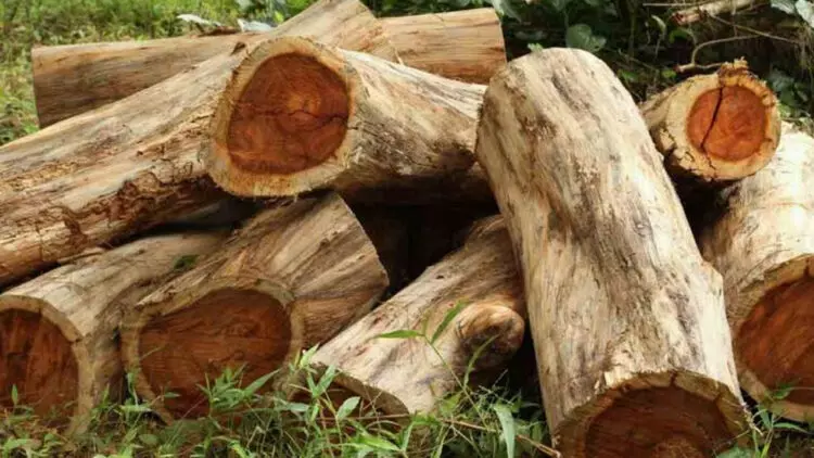 ജയില്‍ സൂപ്രണ്ടിനെതിരെ ഭീഷണി മുഴക്കി മുട്ടില്‍ മരംമുറി കേസ് പ്രതി