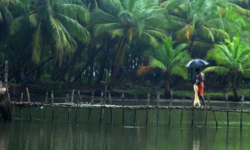 പേമാരിക്ക് ശമനം; ഇന്ന് മൂന്നു ജില്ലകളില്‍ ഓറഞ്ച് അലര്‍ട്ട്