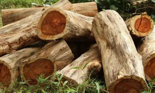 ജയില്‍ സൂപ്രണ്ടിനെതിരെ ഭീഷണി മുഴക്കി മുട്ടില്‍ മരംമുറി കേസ് പ്രതി