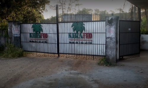 കരുനാഗപ്പള്ളിയില്‍ കേരഫെഡ് ജീവനക്കാരുടെ അനിശ്ചിതകാല സമരം തുടരുന്നു; കോടികളുടെ നഷ്ടം