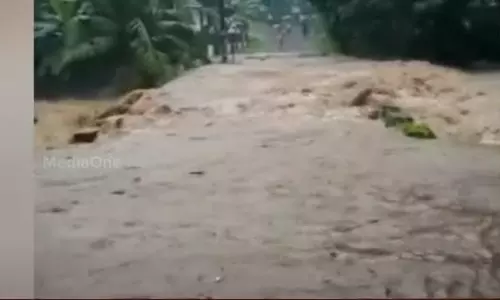 പത്തനംതിട്ടയിൽ ശക്തമായ മഴ; രണ്ടിടത്ത് ഉരുൾപൊട്ടി