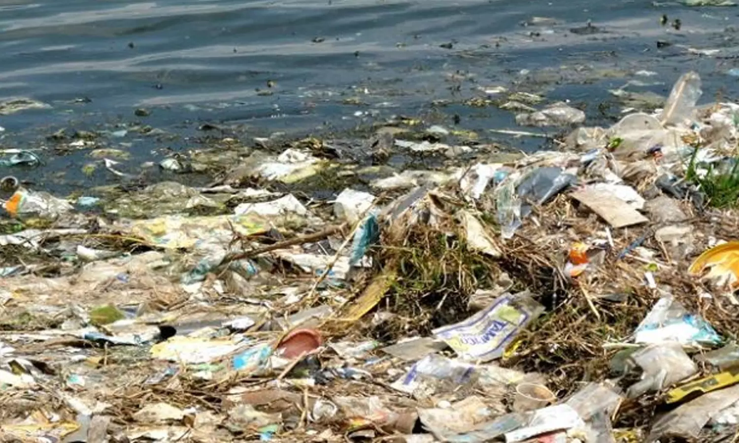 മീനച്ചിലാർ മലിനമാകുന്നു; വിശദീകരണം തേടി മനുഷ്യാവകാശ കമ്മീഷൻ മീനച്ചിലാർ മലിനമാകുന്നു; വിശദീകരണം തേടി മനുഷ്യാവകാശ കമ്മീഷൻ