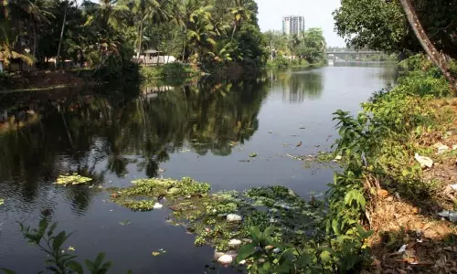 മീനച്ചിലാർ മലിനമാകുന്നു, വിശദീകരണം തേടി മനുഷ്യാവകാശ കമ്മീഷൻ