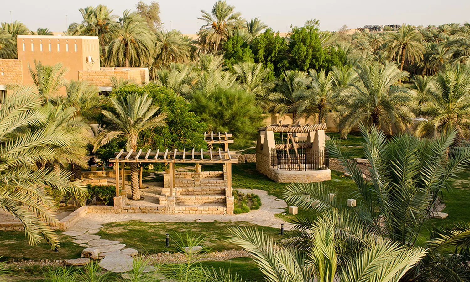 സൗദിയിൽ മരങ്ങൾ മുറിച്ചാൽ വൻതുക പിഴ; ഓരോ മരത്തിനും 20,000 റിയാൽ വീതം സൗദിയിൽ മരങ്ങൾ മുറിച്ചാൽ വൻതുക പിഴ; ഓരോ മരത്തിനും 20,000 റിയാൽ വീതം