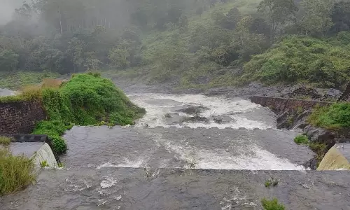 മുല്ലപ്പെരിയാർ ഡാം തുറന്നതിൽ ആശങ്കയില്ല; കാര്യമായി ജലനിരപ്പ് ഉയരുന്നില്ല മുല്ലപ്പെരിയാർ ഡാം തുറന്നതിൽ ആശങ്കയില്ല; കാര്യമായി ജലനിരപ്പ് ഉയരുന്നില്ല