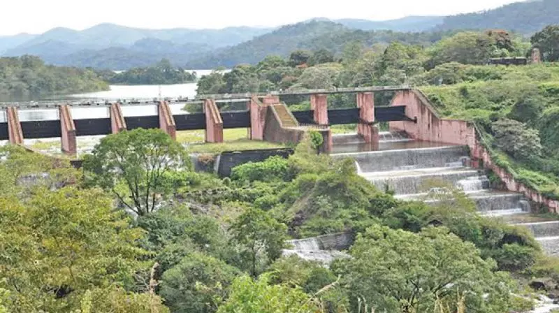 മുല്ലപ്പെരിയാറില്‍ നിന്നും വൈഗ ഡാമിലേക്ക്; തമിഴ്നാട് വെള്ളം കൊണ്ടുപോകുന്നത് ഇങ്ങനെ