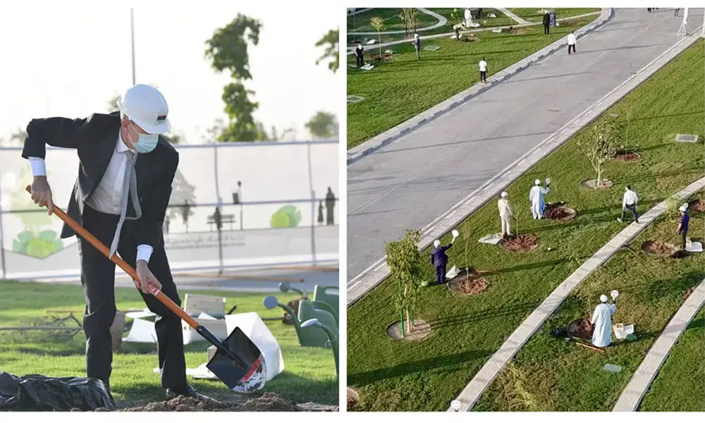 വൃക്ഷത്തൈകൾ നട്ടുപിടിപ്പിച്ച് ഗിന്നസ് റെക്കോർഡ് നേടി ഖത്തർ