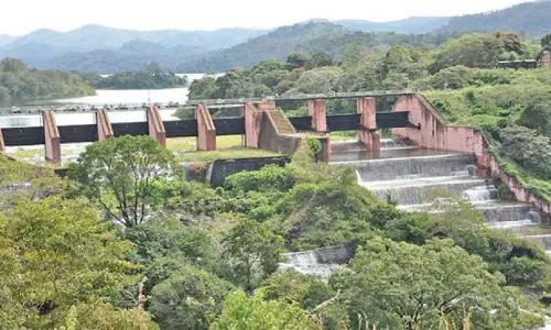 മുല്ലപ്പെരിയാറില്‍ നിന്നും വൈഗ ഡാമിലേക്ക്; തമിഴ്നാട് വെള്ളം കൊണ്ടുപോകുന്നത് ഇങ്ങനെ