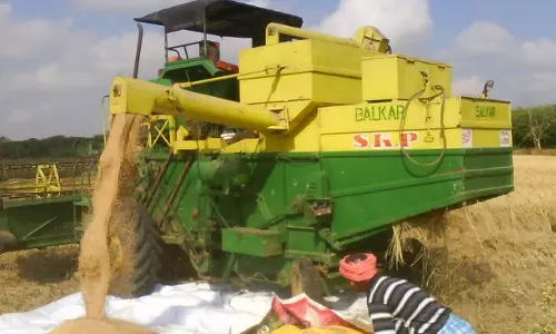 കൊയ്ത്തു യന്ത്രങ്ങളില്ല; കുട്ടനാട്ടിലും അപ്പർ കുട്ടനാട്ടിലും കൊയ്ത്ത് പ്രതിസന്ധിയിൽ