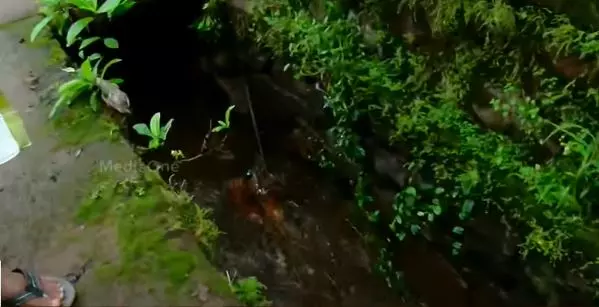 കോഴിക്കോട് പാലാഴിയില്‍ 58കാരന്‍ ഓടയിൽ വീണു മരിച്ചു