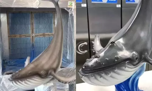 കേട്ടോ..ഗയ്സ് ഇതൊരു തിമിംഗലമല്ല!